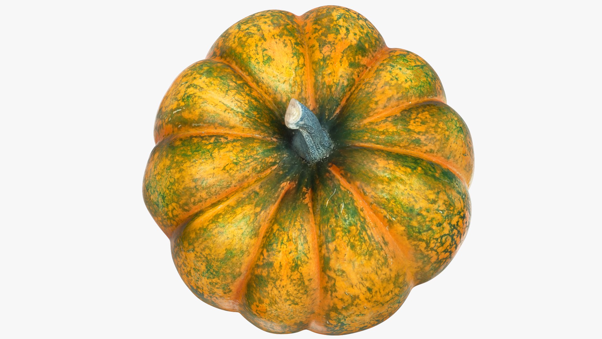 3D Pumpkins Collection V7 model https://p.turbosquid.com/ts-thumb/Lg/KMwW4Q/Cp/p7_004_010/png/1705363474/1920x1080/fit_q87/019c75c5e3c2dcb7d2722bb4fa5043a13400a6ed/p7_004_010.jpg
