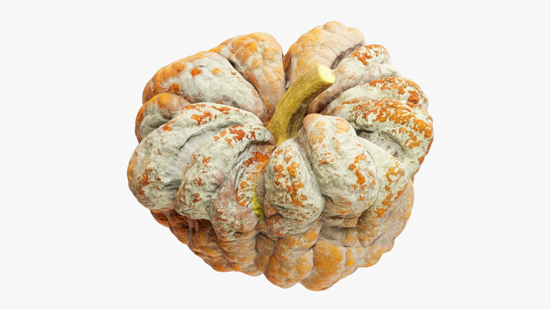 3D Pumpkins Collection V7 model https://p.turbosquid.com/ts-thumb/Lg/KMwW4Q/DD/pump8render/jpg/1705359559/1920x1080/turn_fit_q99/0b0f1f83a8883e4e69068fedca1cc9c3c19e3914/pump8render-1.jpg