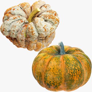 3D Pumpkins Collection V7 model