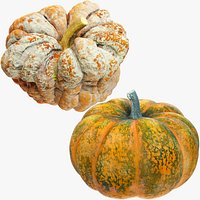 Pumpkins Collection V7
