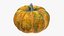 Pumpkins Collection V7