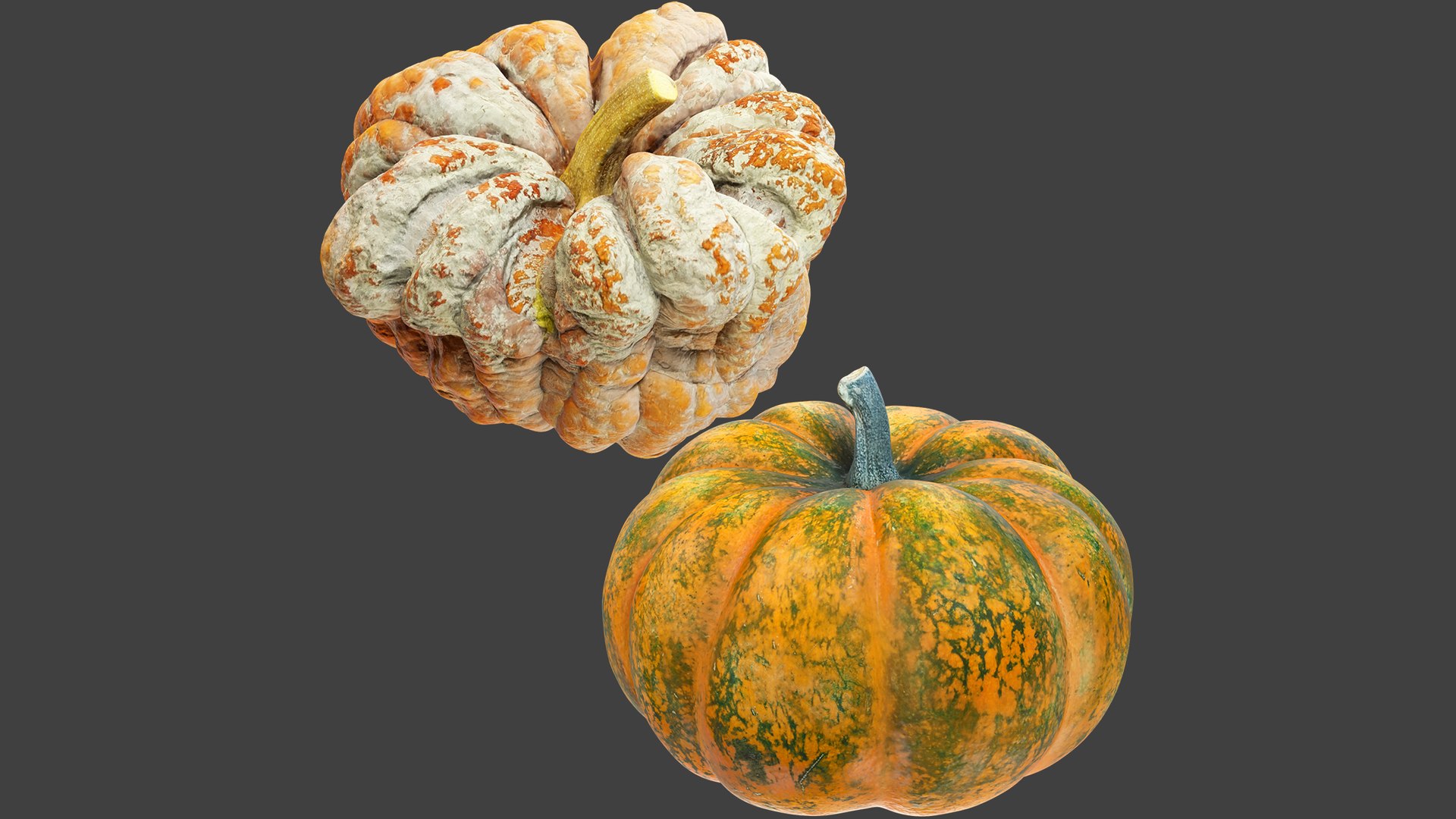 3D Pumpkins Collection V7 model https://p.turbosquid.com/ts-thumb/Lg/KMwW4Q/MZ/pc7_003/png/1705363437/1920x1080/fit_q87/b883d10e3558072e011fe93820bd376b7bb37499/pc7_003.jpg