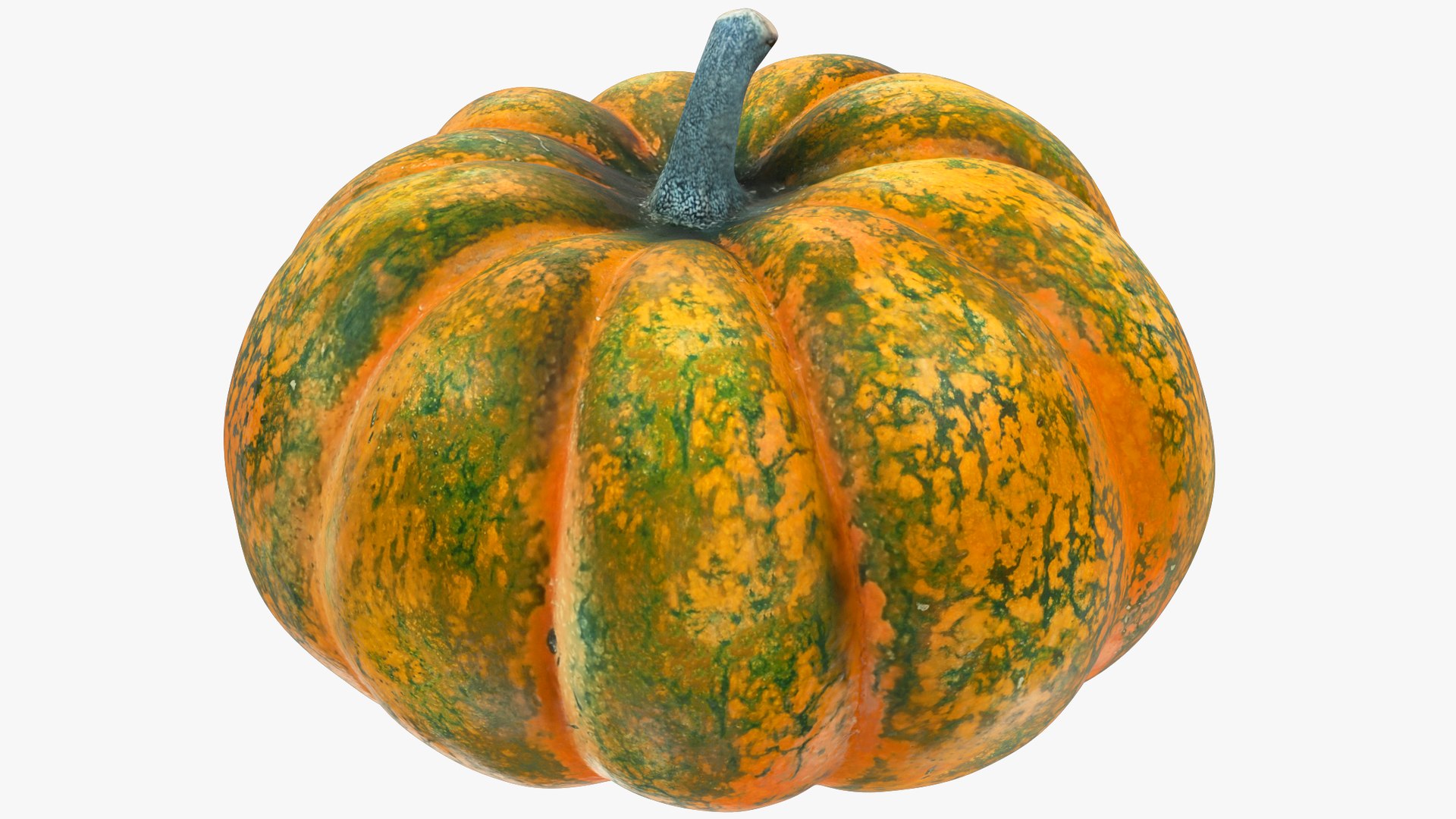3D Pumpkins Collection V7 model https://p.turbosquid.com/ts-thumb/Lg/KMwW4Q/Qb/p7_004_003/png/1705363464/1920x1080/fit_q87/0d7fdbe00d4caf8c2a8a18fd1459fc44d1451c85/p7_004_003.jpg