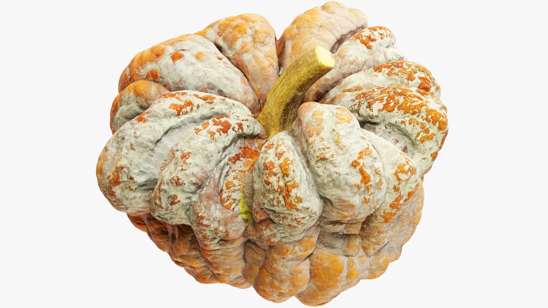 3D Pumpkins Collection V7 model https://p.turbosquid.com/ts-thumb/Lg/KMwW4Q/pk/pump8_001/png/1705363626/1920x1080/fit_q87/fc8e5b99b511438c9a7eb1068e501f023bd23cd4/pump8_001.jpg