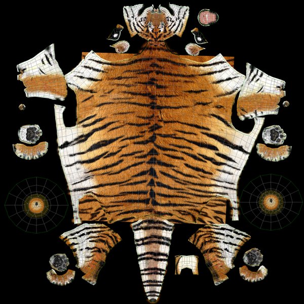 3D tiger animation - TurboSquid 1252636