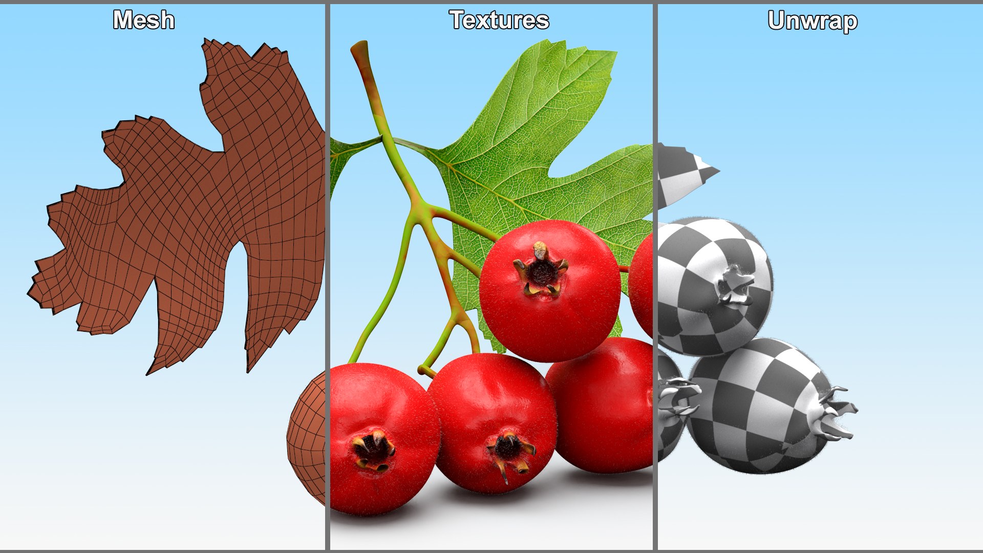 3D Berry Branches Collection 7 model https://p.turbosquid.com/ts-thumb/Lg/Rz61Sw/Ny/berry_branches_collection_7_032/jpg/1741183239/1920x1080/fit_q87/928ec7b33f16ac98c213a181cc138952d78d30eb/berry_branches_collection_7_032.jpg
