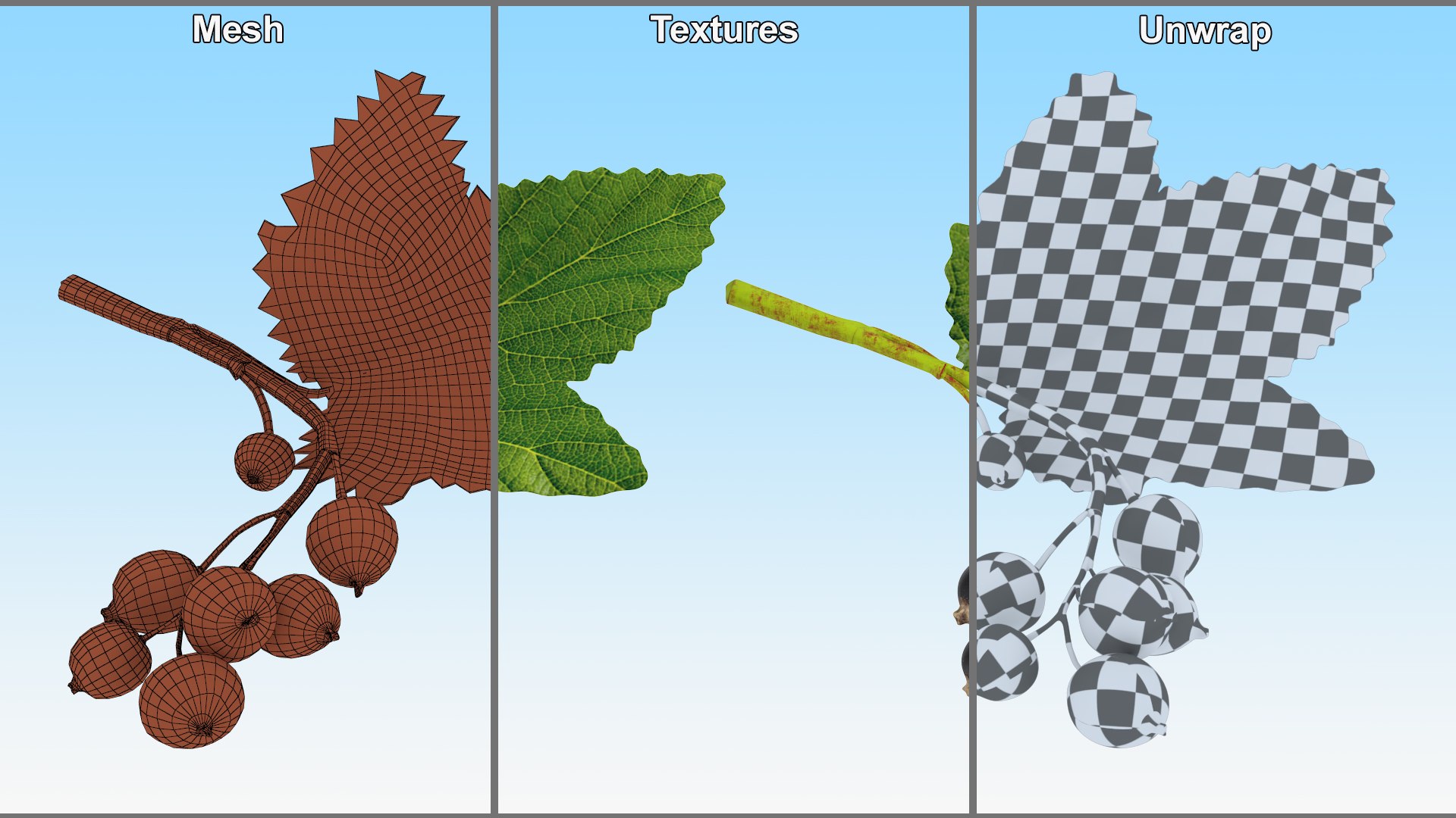 3D Berry Branches Collection 7 model https://p.turbosquid.com/ts-thumb/Lg/Rz61Sw/dt/berry_branches_collection_7_033/jpg/1741183238/1920x1080/fit_q87/9ab577d8402b1a5d62728a4b3d3aad1e72cb9520/berry_branches_collection_7_033.jpg