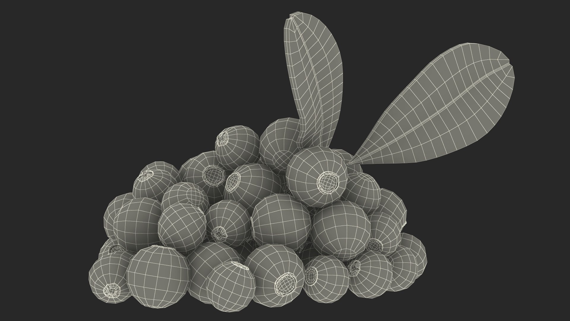 3D Berry Branches Collection 7 model https://p.turbosquid.com/ts-thumb/Lg/Rz61Sw/ja/berry_branches_collection_7_037/jpg/1741183241/1920x1080/fit_q87/8fdd461144c9a5ac20cddd0b461b17516797c343/berry_branches_collection_7_037.jpg