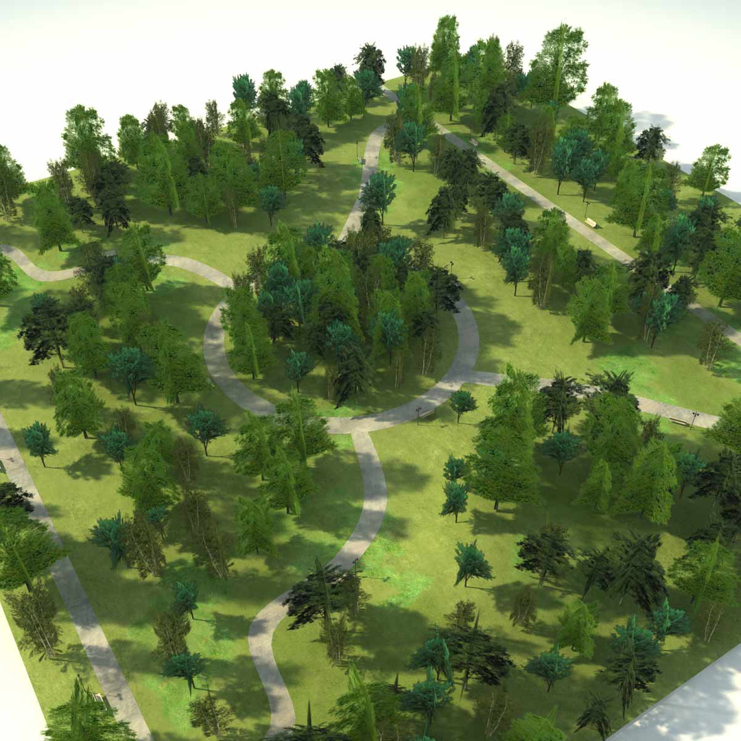 Forest 3d model