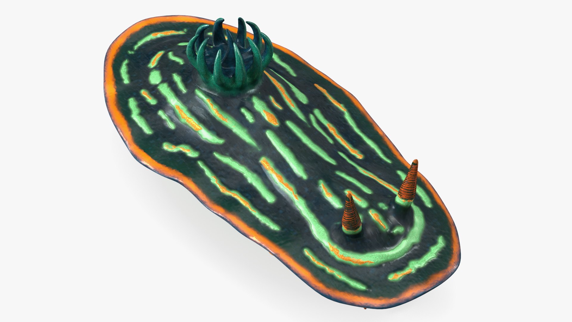 Nembrotha Kubaryana 3D model preview