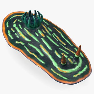 Nembrotha Kubaryana model