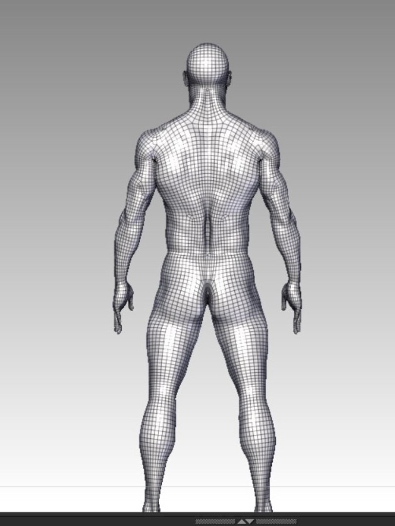 3D Mesh Anatomy - TurboSquid 1540234
