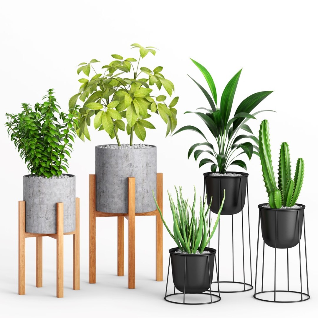 West Planters 2 Indoor 3D - TurboSquid 1573069