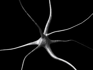 lwo nerve cell