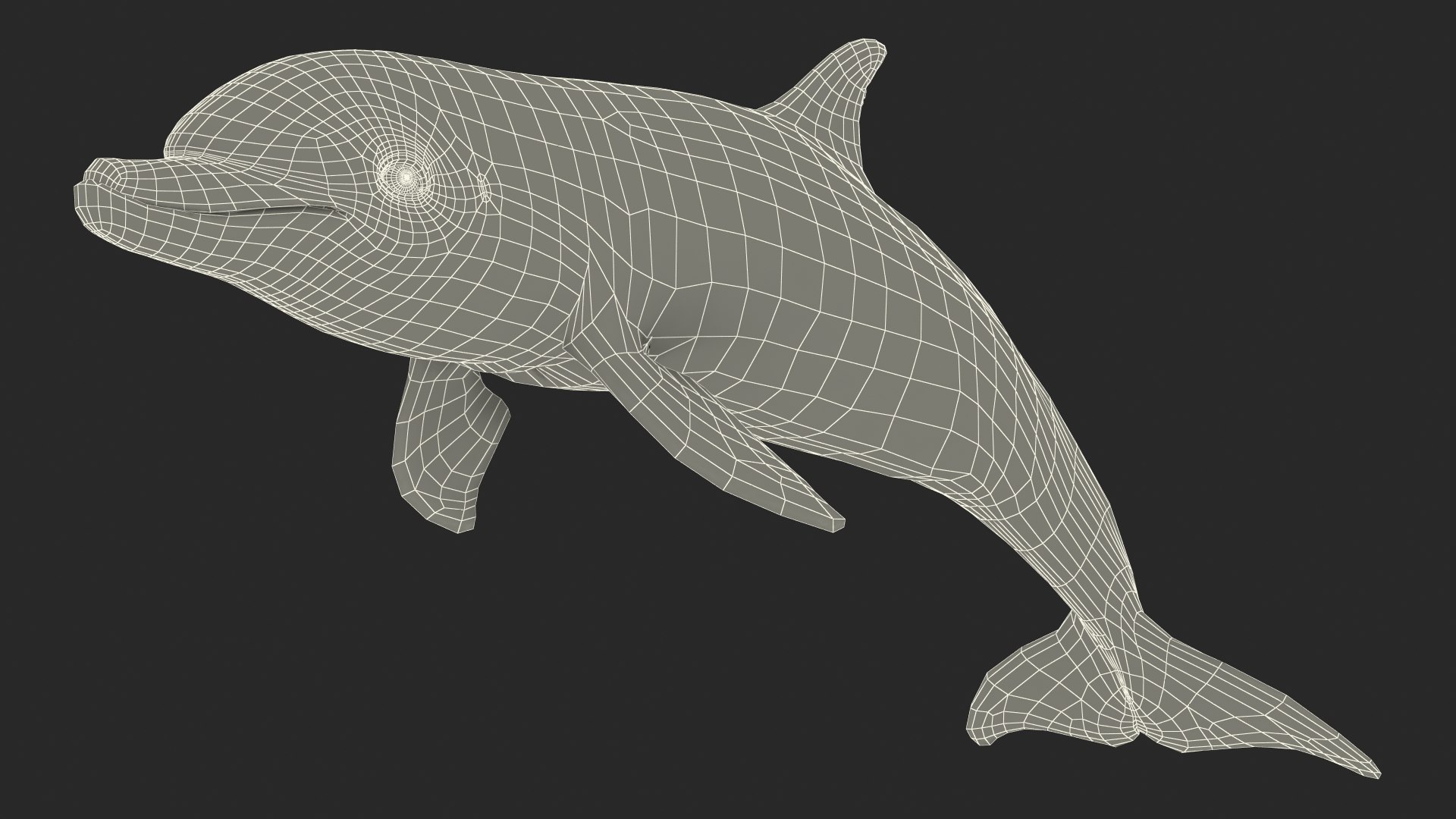 3D Dolphin Swimming And Jumping Animated for Cinema 4D https://p.turbosquid.com/ts-thumb/Lg/qjBytp/Y9/dolphinswimmingandjumpinganimatedforcinema4d3dmodel030/jpg/1697111378/1920x1080/fit_q87/f17adfabcef94db9e1466d230e3e40c2e255d617/dolphinswimmingandjumpinganimatedforcinema4d3dmodel030.jpg