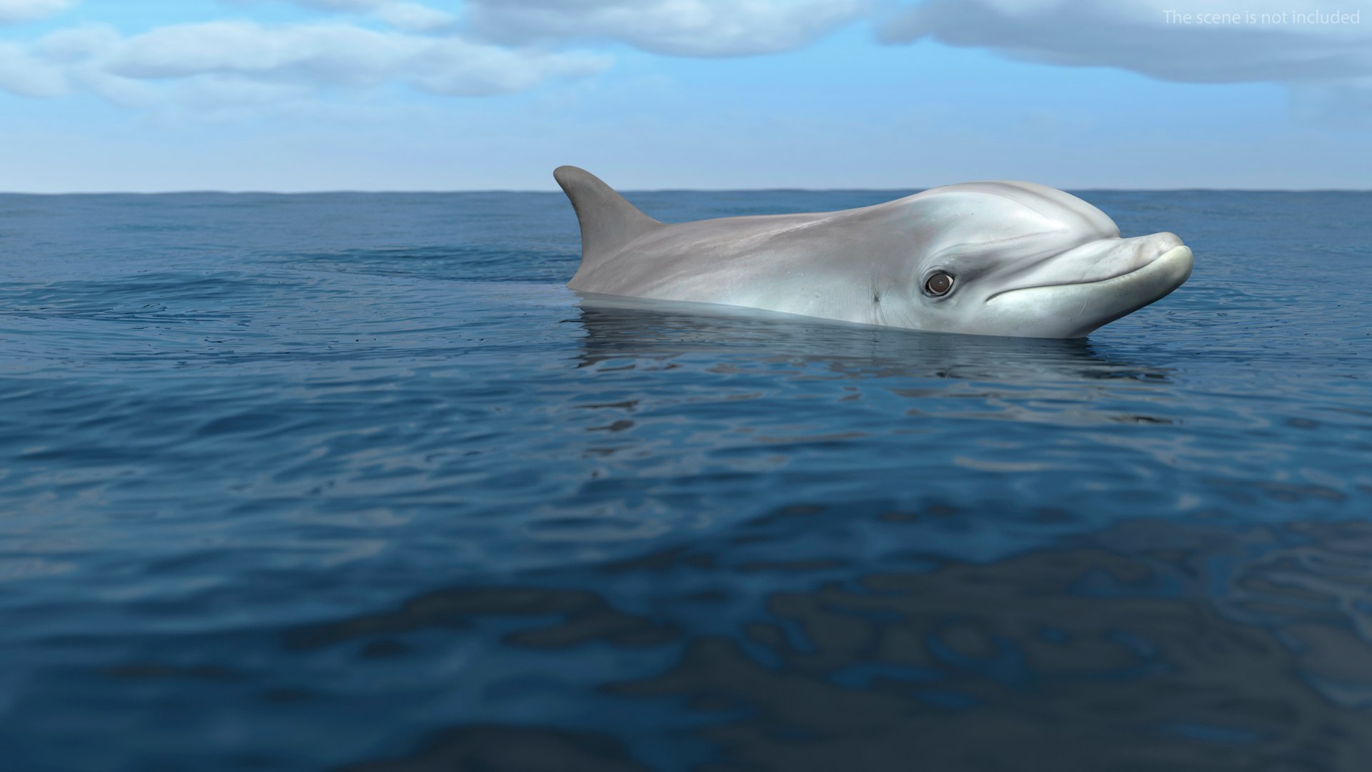 3D Dolphin Swimming And Jumping Animated for Cinema 4D https://p.turbosquid.com/ts-thumb/Lg/qjBytp/vH/dolphinswimmingandjumpinganimatedforcinema4d3dmodel006/jpg/1697111272/1920x1080/fit_q87/336a1d2b5f8974fd64186d0fd76a11705559a353/dolphinswimmingandjumpinganimatedforcinema4d3dmodel006.jpg