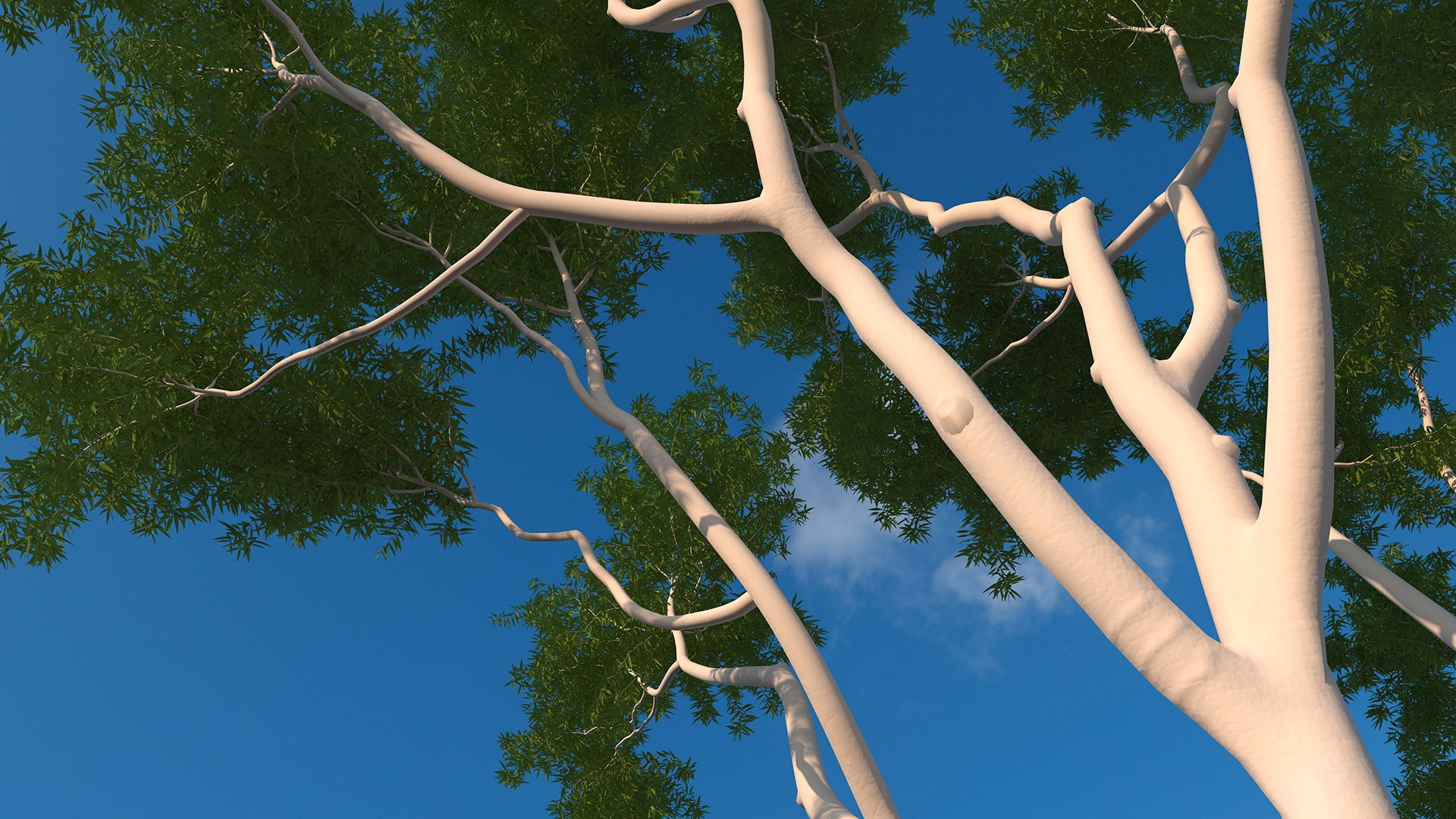 3D Rigged Giant Panda with Eucalyptus Tree Collection https://p.turbosquid.com/ts-thumb/Lh/3RNMmV/HM/riggedgiantpandawitheucalyptustreecollectionmb3dmodel026/jpg/1637745217/1920x1080/fit_q87/9f589152b0864d3c07b2ec7374e1d58582c7a228/riggedgiantpandawitheucalyptustreecollectionmb3dmodel026.jpg