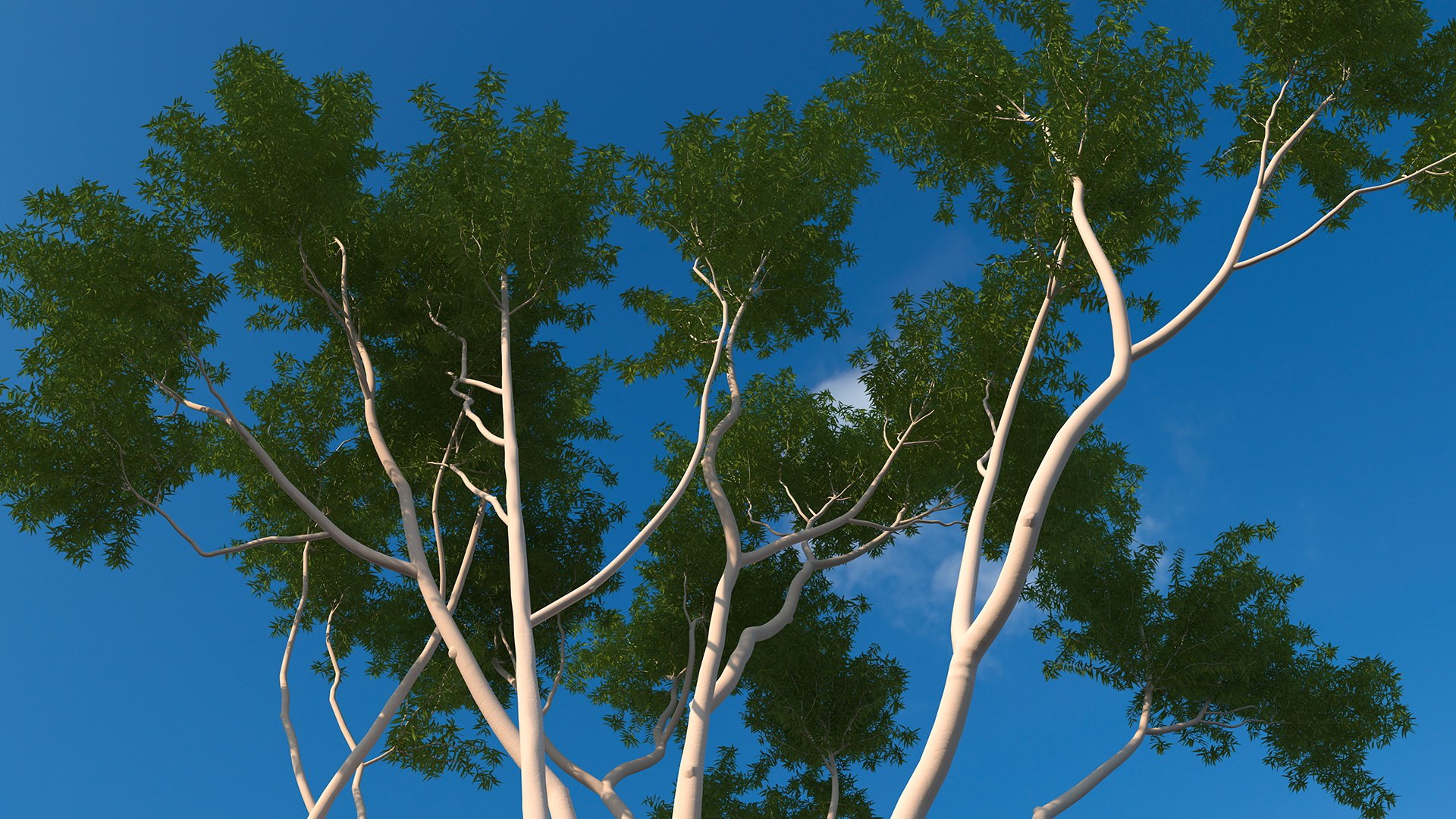 3D Rigged Giant Panda with Eucalyptus Tree Collection https://p.turbosquid.com/ts-thumb/Lh/3RNMmV/I2/riggedgiantpandawitheucalyptustreecollectionmb3dmodel025/jpg/1637745214/1920x1080/fit_q87/c3a974d95f14d709909c1cc4eb0e4c874afb6d68/riggedgiantpandawitheucalyptustreecollectionmb3dmodel025.jpg