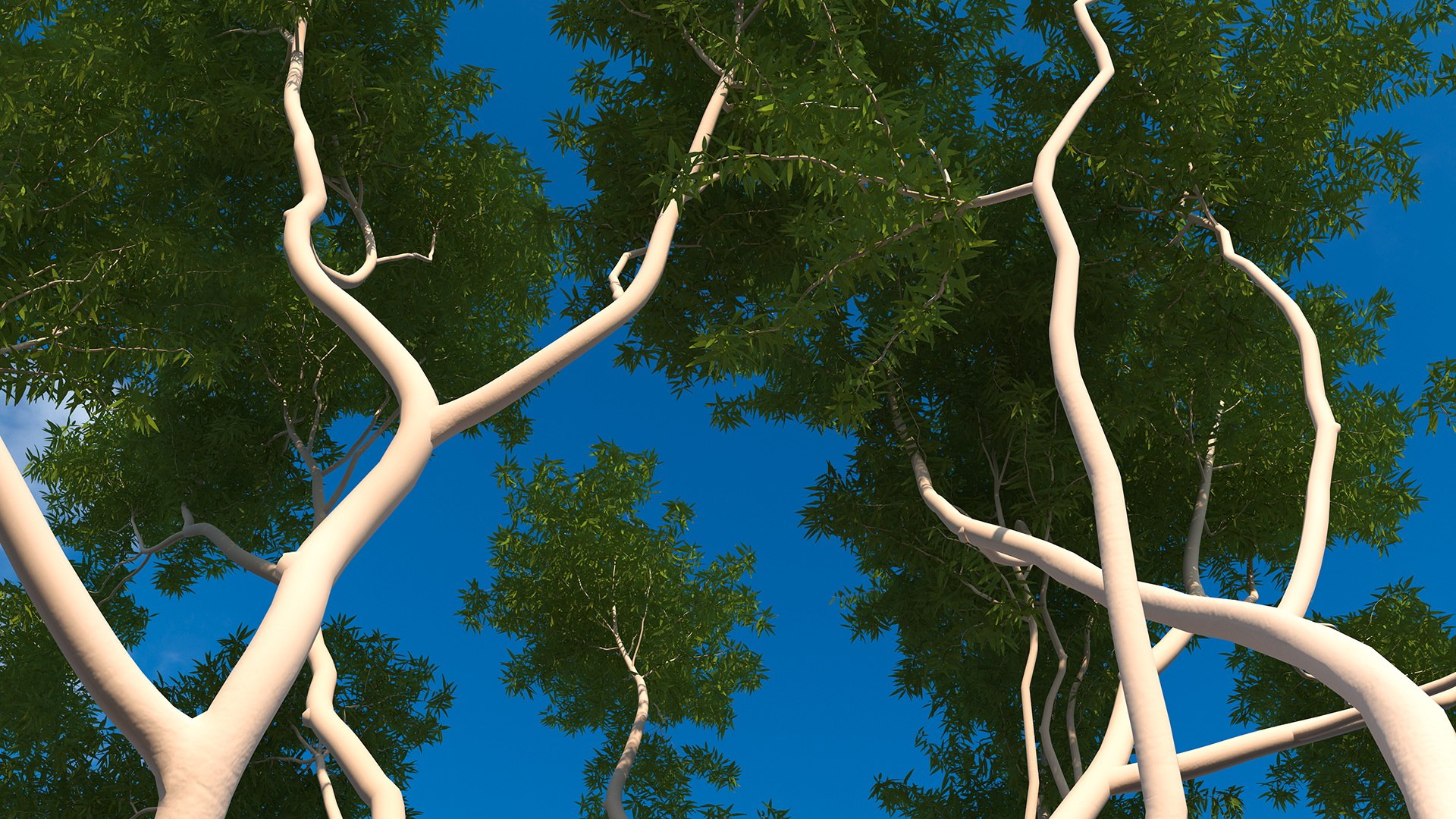 3D Rigged Giant Panda with Eucalyptus Tree Collection https://p.turbosquid.com/ts-thumb/Lh/3RNMmV/P7/riggedgiantpandawitheucalyptustreecollectionmb3dmodel027/jpg/1637745220/1920x1080/fit_q87/4e238821f5066948442f3126b02bf814063d80b8/riggedgiantpandawitheucalyptustreecollectionmb3dmodel027.jpg