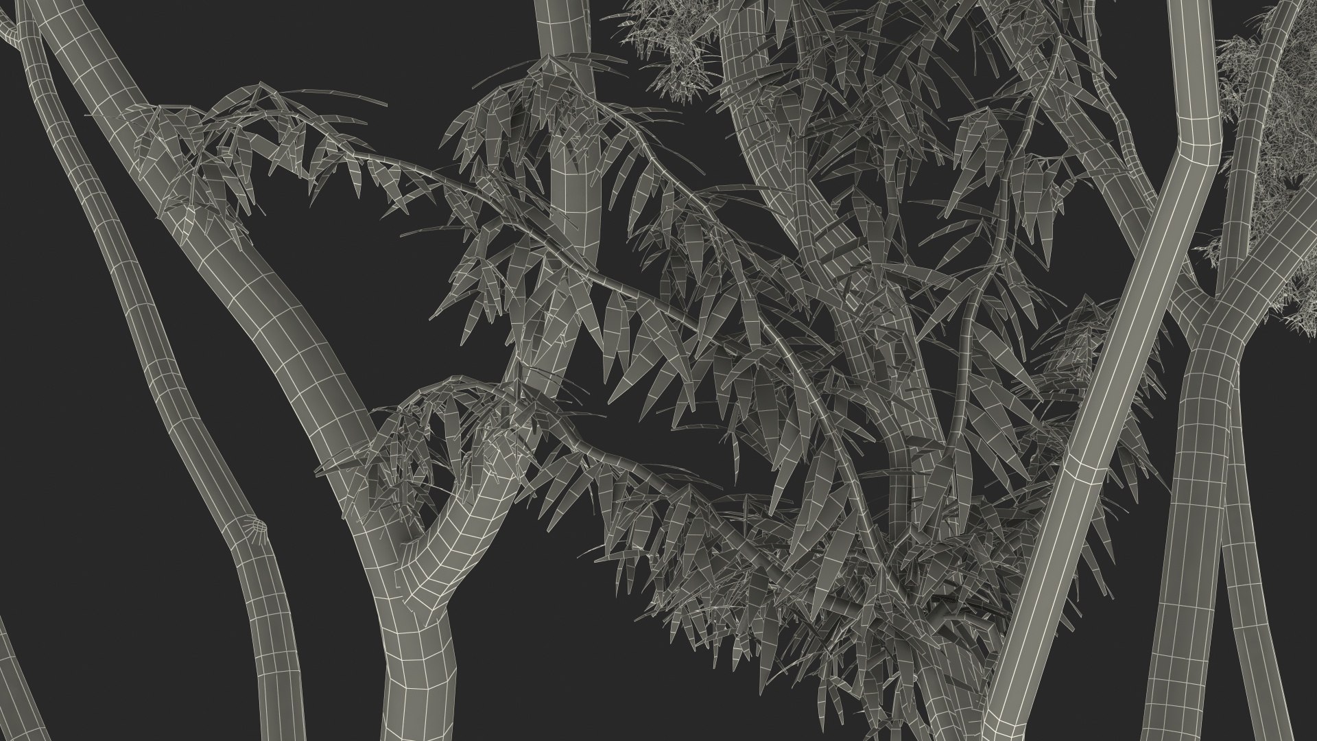 3D Rigged Giant Panda with Eucalyptus Tree Collection https://p.turbosquid.com/ts-thumb/Lh/3RNMmV/V6/riggedgiantpandawitheucalyptustreecollectionmb3dmodel036/jpg/1637745247/1920x1080/fit_q87/92c4f51047063329a4e2f4d3a98876119c2a28da/riggedgiantpandawitheucalyptustreecollectionmb3dmodel036.jpg