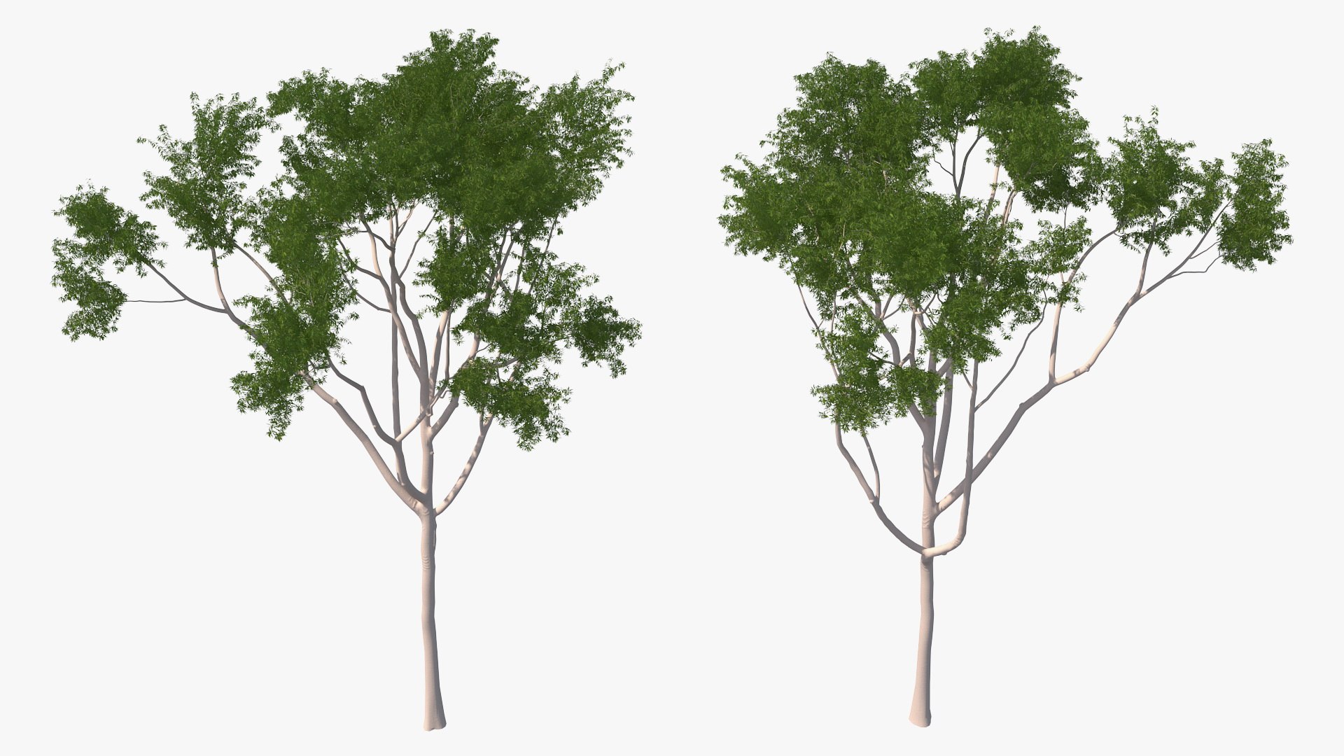 3D Rigged Giant Panda with Eucalyptus Tree Collection https://p.turbosquid.com/ts-thumb/Lh/3RNMmV/YW/riggedgiantpandawitheucalyptustreecollectionmb3dmodel032/jpg/1637745235/1920x1080/fit_q87/f73665bb63c56eda6cf4abd2baf4685f7b7c03f5/riggedgiantpandawitheucalyptustreecollectionmb3dmodel032.jpg