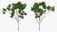 3D Rigged Giant Panda with Eucalyptus Tree Collection