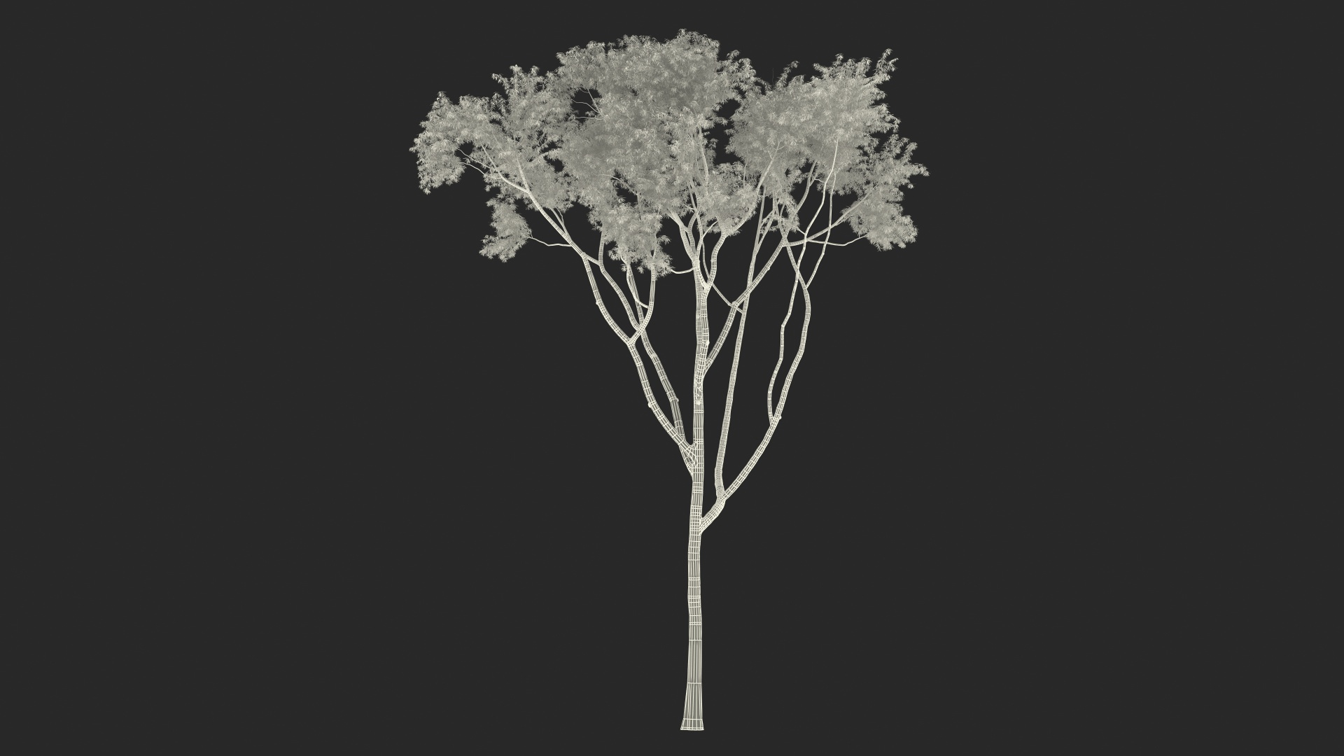 3D Rigged Giant Panda with Eucalyptus Tree Collection https://p.turbosquid.com/ts-thumb/Lh/3RNMmV/hu/eucalyptus_tree_361/jpg/1637745880/1920x1080/turn_fit_q99/88287d629d748ba8603abe070c8bc2e869da3350/eucalyptus_tree_361-1.jpg