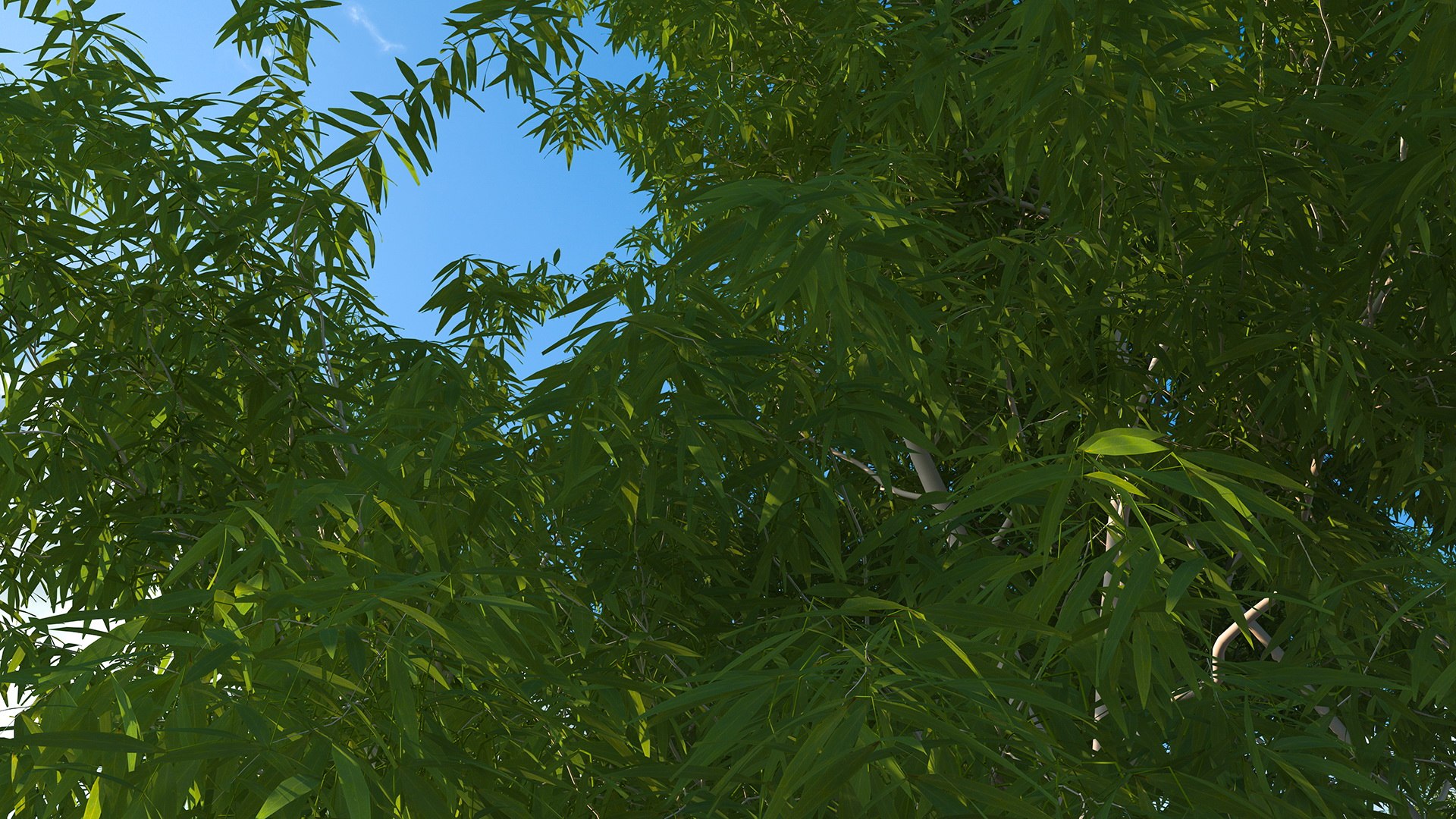 3D Rigged Giant Panda with Eucalyptus Tree Collection https://p.turbosquid.com/ts-thumb/Lh/3RNMmV/ie/riggedgiantpandawitheucalyptustreecollectionmb3dmodel030/jpg/1637745229/1920x1080/fit_q87/9c966d45c86f2694f3731254ee506f5be7a722e6/riggedgiantpandawitheucalyptustreecollectionmb3dmodel030.jpg