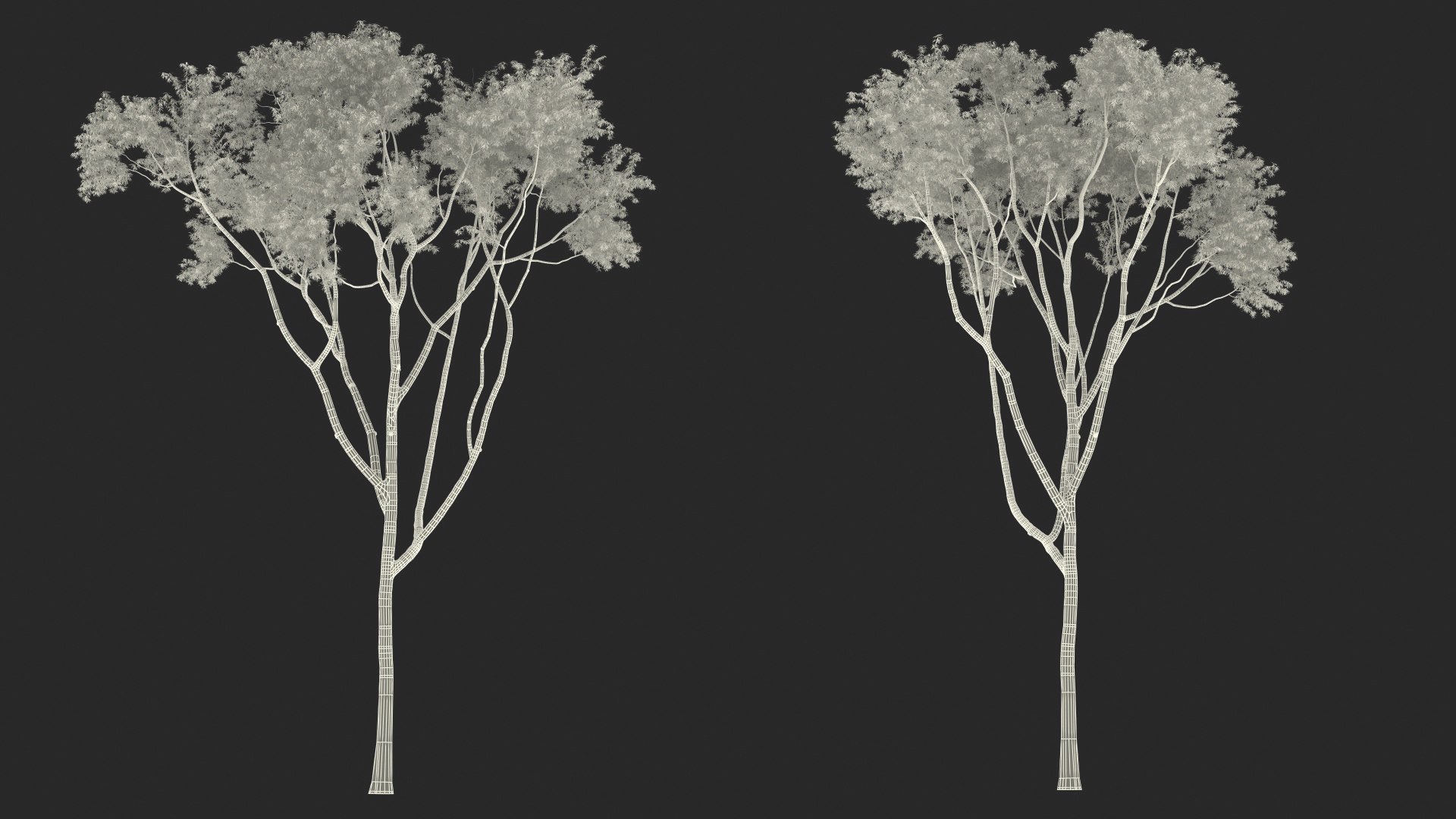 3D Rigged Giant Panda with Eucalyptus Tree Collection https://p.turbosquid.com/ts-thumb/Lh/3RNMmV/m7/riggedgiantpandawitheucalyptustreecollectionmb3dmodel035/jpg/1637745244/1920x1080/fit_q87/fc31e0e0112271367679d72b87e64806e3997e1b/riggedgiantpandawitheucalyptustreecollectionmb3dmodel035.jpg