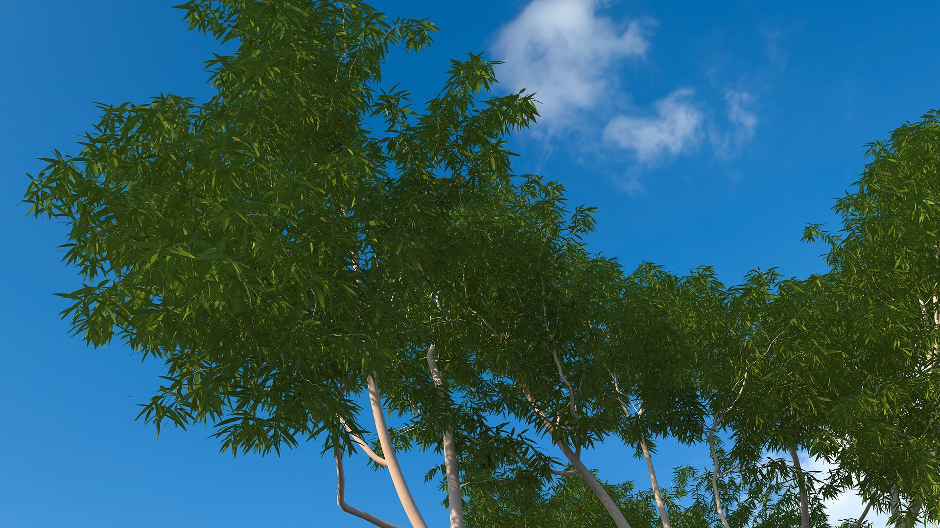 3D Rigged Giant Panda with Eucalyptus Tree Collection https://p.turbosquid.com/ts-thumb/Lh/3RNMmV/th/riggedgiantpandawitheucalyptustreecollectionmb3dmodel024/jpg/1637745211/1920x1080/fit_q87/eaac435d58d29beb8d48ea8e7ea3fbf0bfe0cb27/riggedgiantpandawitheucalyptustreecollectionmb3dmodel024.jpg