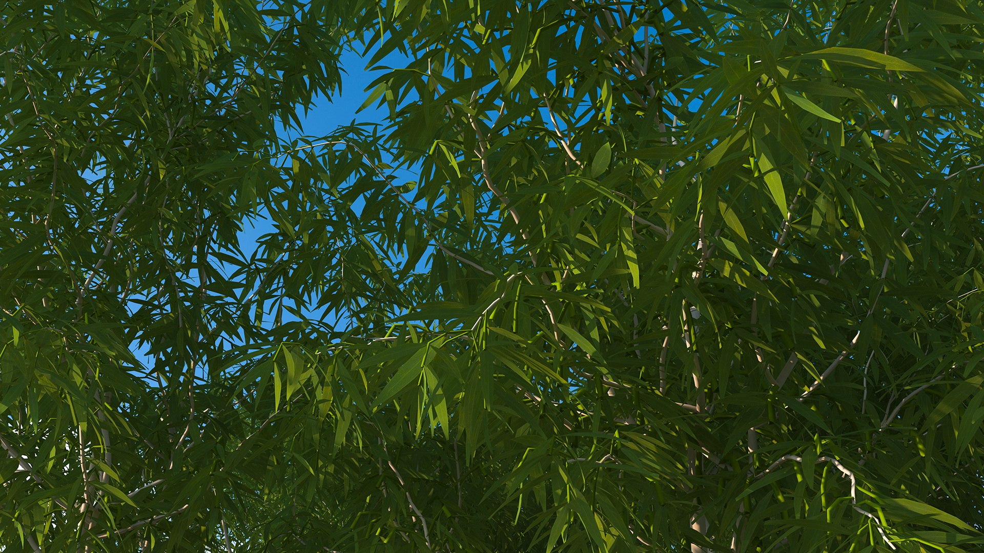 3D Rigged Giant Panda with Eucalyptus Tree Collection https://p.turbosquid.com/ts-thumb/Lh/3RNMmV/uk/riggedgiantpandawitheucalyptustreecollectionmb3dmodel031/jpg/1637745232/1920x1080/fit_q87/816e283ebf69e87b351d098baeb6ea71bb4232f5/riggedgiantpandawitheucalyptustreecollectionmb3dmodel031.jpg
