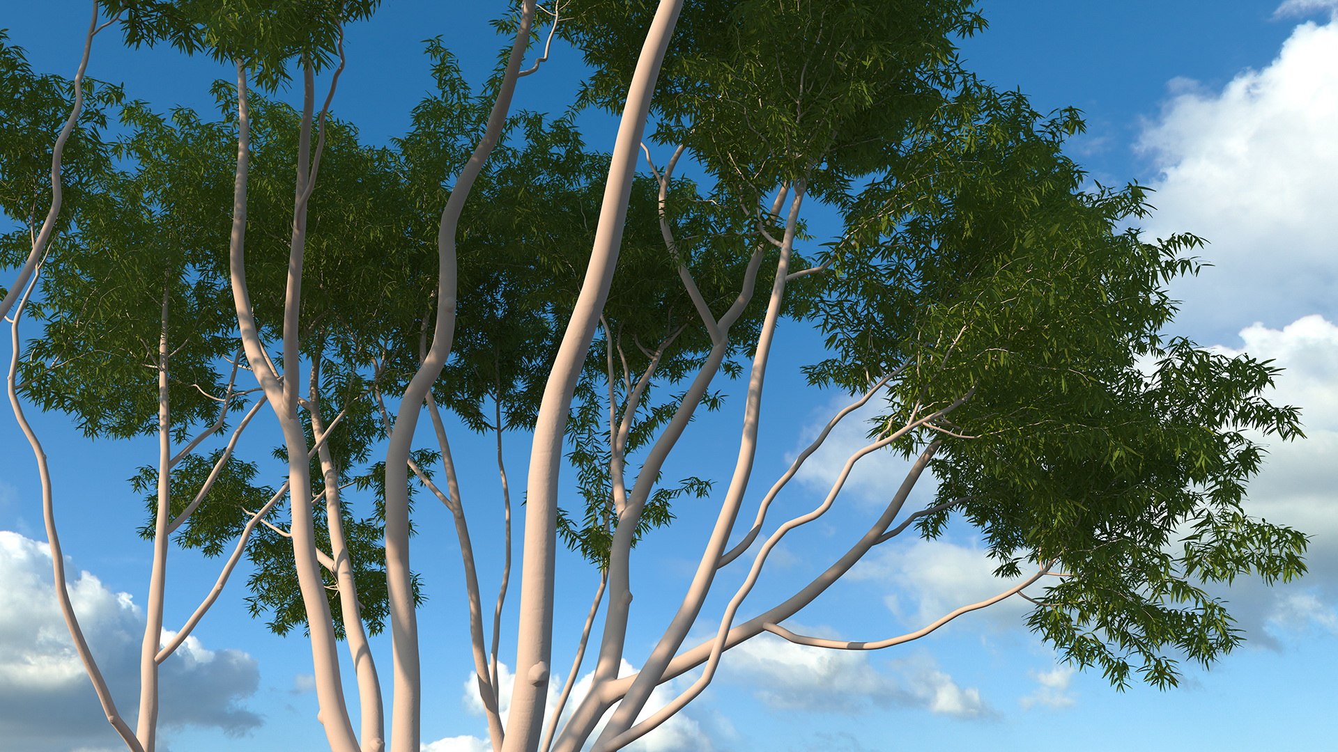 3D Rigged Giant Panda with Eucalyptus Tree Collection https://p.turbosquid.com/ts-thumb/Lh/3RNMmV/xf/riggedgiantpandawitheucalyptustreecollectionmb3dmodel023/jpg/1637745208/1920x1080/fit_q87/ee6037ff367f969b2e3a531bd00772d49a34e5da/riggedgiantpandawitheucalyptustreecollectionmb3dmodel023.jpg