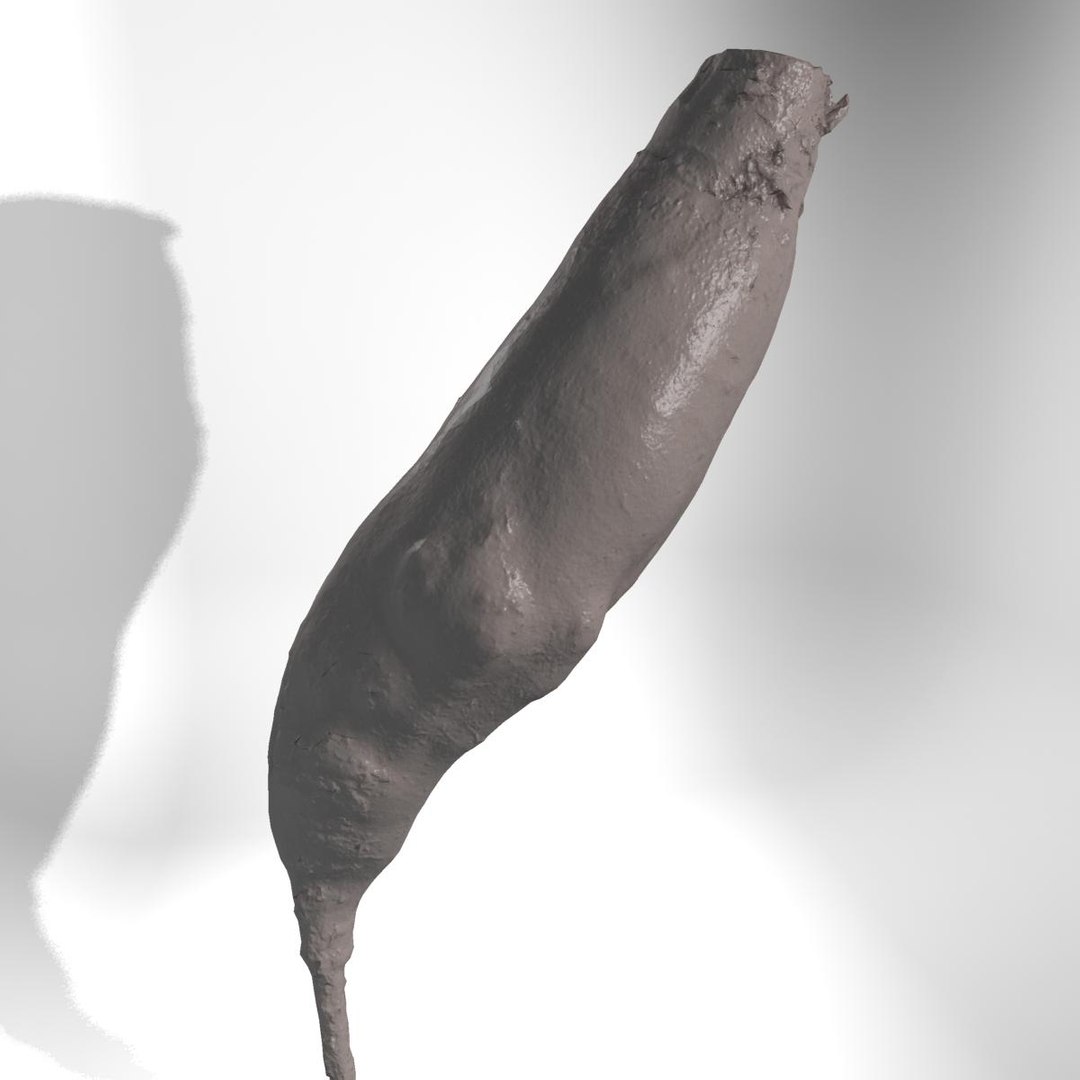 3d beet red long model https://p.turbosquid.com/ts-thumb/Lh/BcsVyz/1743weHI/v0035/jpg/1335422610/1920x1080/fit_q87/d615b1c564b16879fc662fdf72f90552d20d7807/v0035.jpg