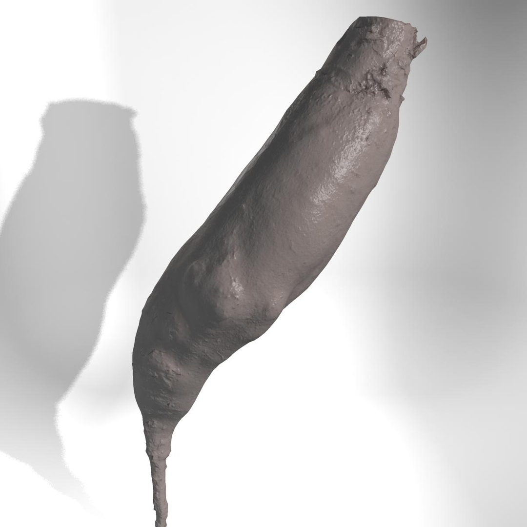 3d beet red long model https://p.turbosquid.com/ts-thumb/Lh/BcsVyz/6YG35nIo/v/jpg/1335422421/1920x1080/turn_fit_q99/e92d22add0174396d86cc179aa3a9cbf006097ca/v-1.jpg