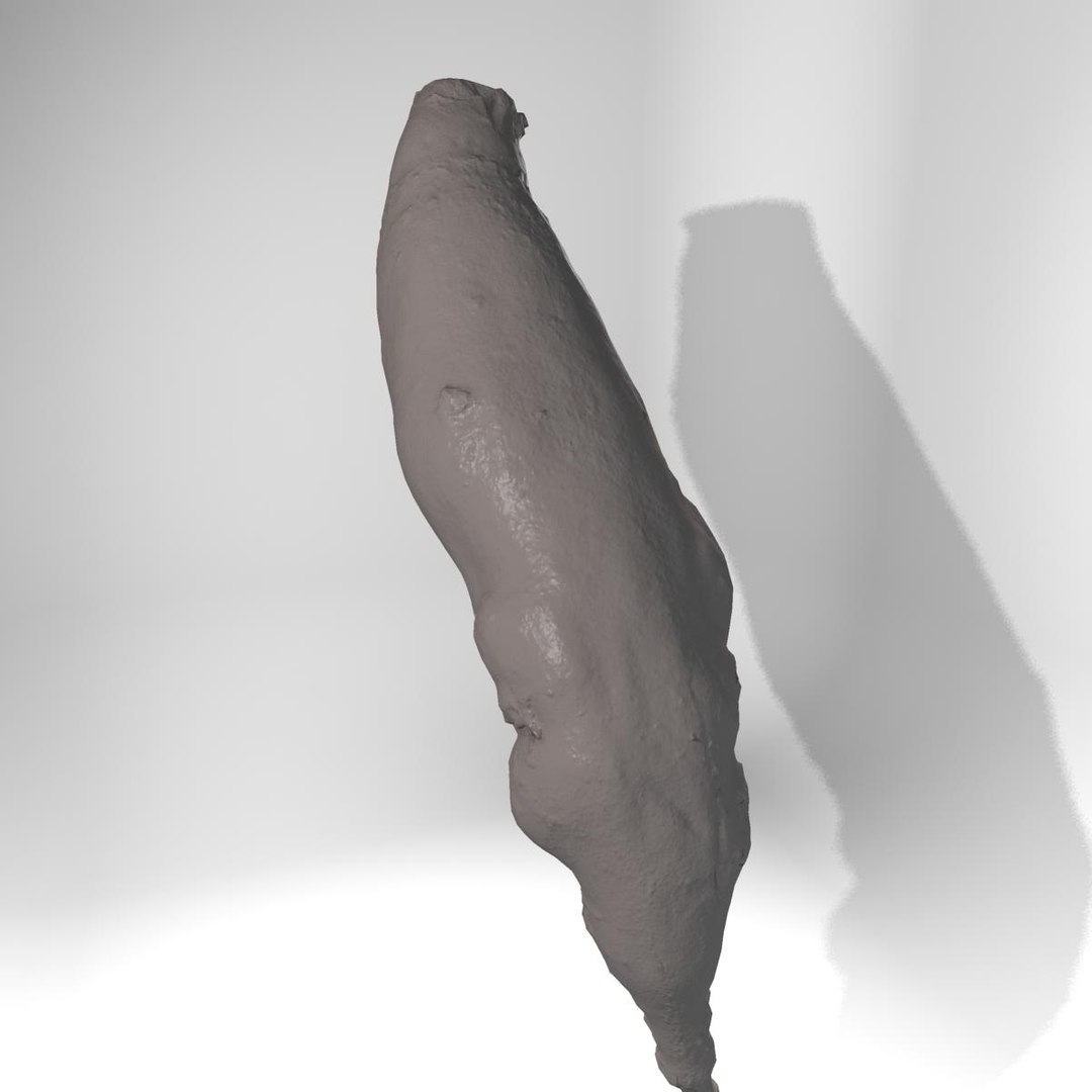 3d beet red long model https://p.turbosquid.com/ts-thumb/Lh/BcsVyz/9IuADeEU/v0025/jpg/1335422818/1920x1080/fit_q87/122d331daabb8a903b27367f855d15456b8f0496/v0025.jpg
