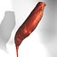 red beet long