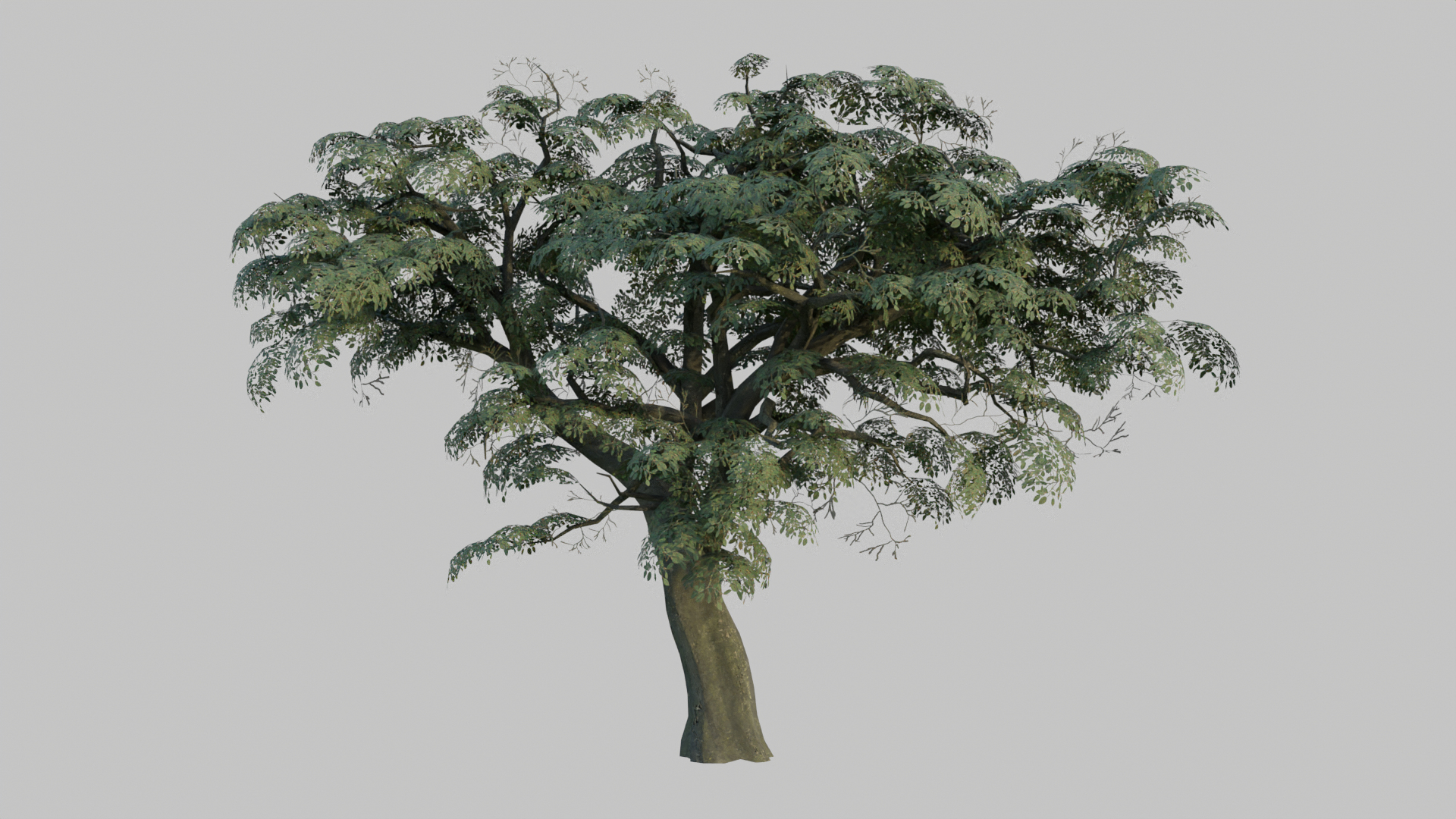 3D Low Poly Game Tree 000 Model - TurboSquid 1856128