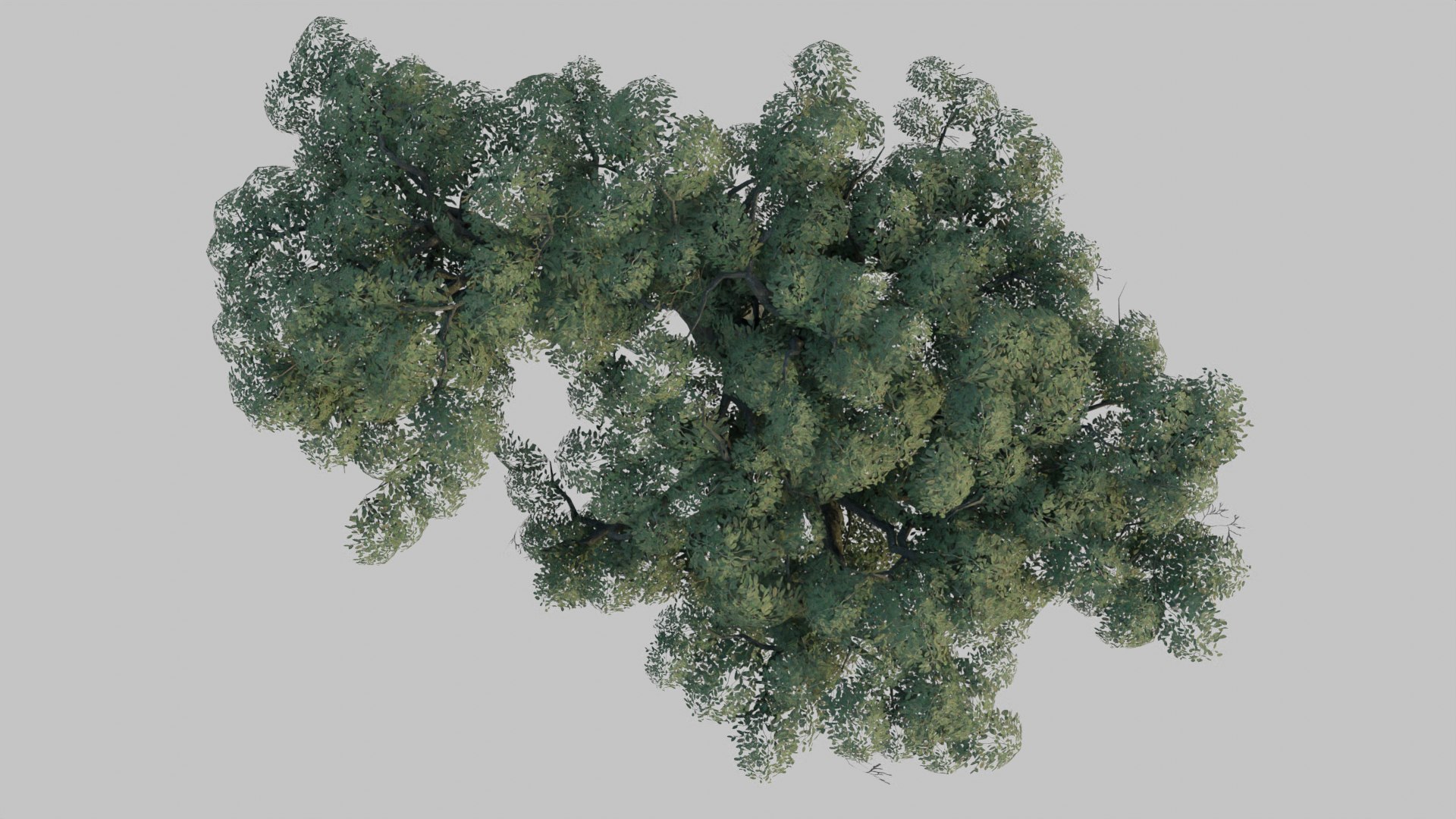 3D Low Poly Game Tree 000 Model - TurboSquid 1856128