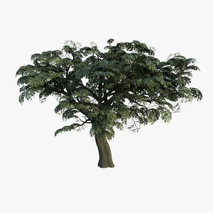3D Low Poly Game Tree 000 model