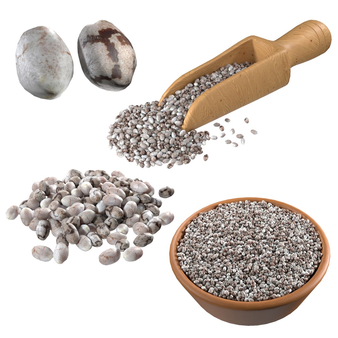 Chia Seed Collection 3D Model - TurboSquid 2408002
