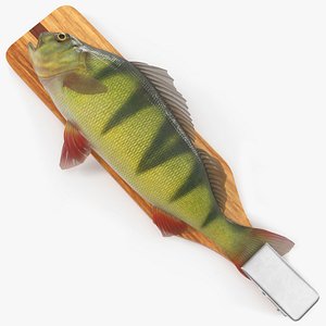 Fish Scaling Board with Yellow Perch