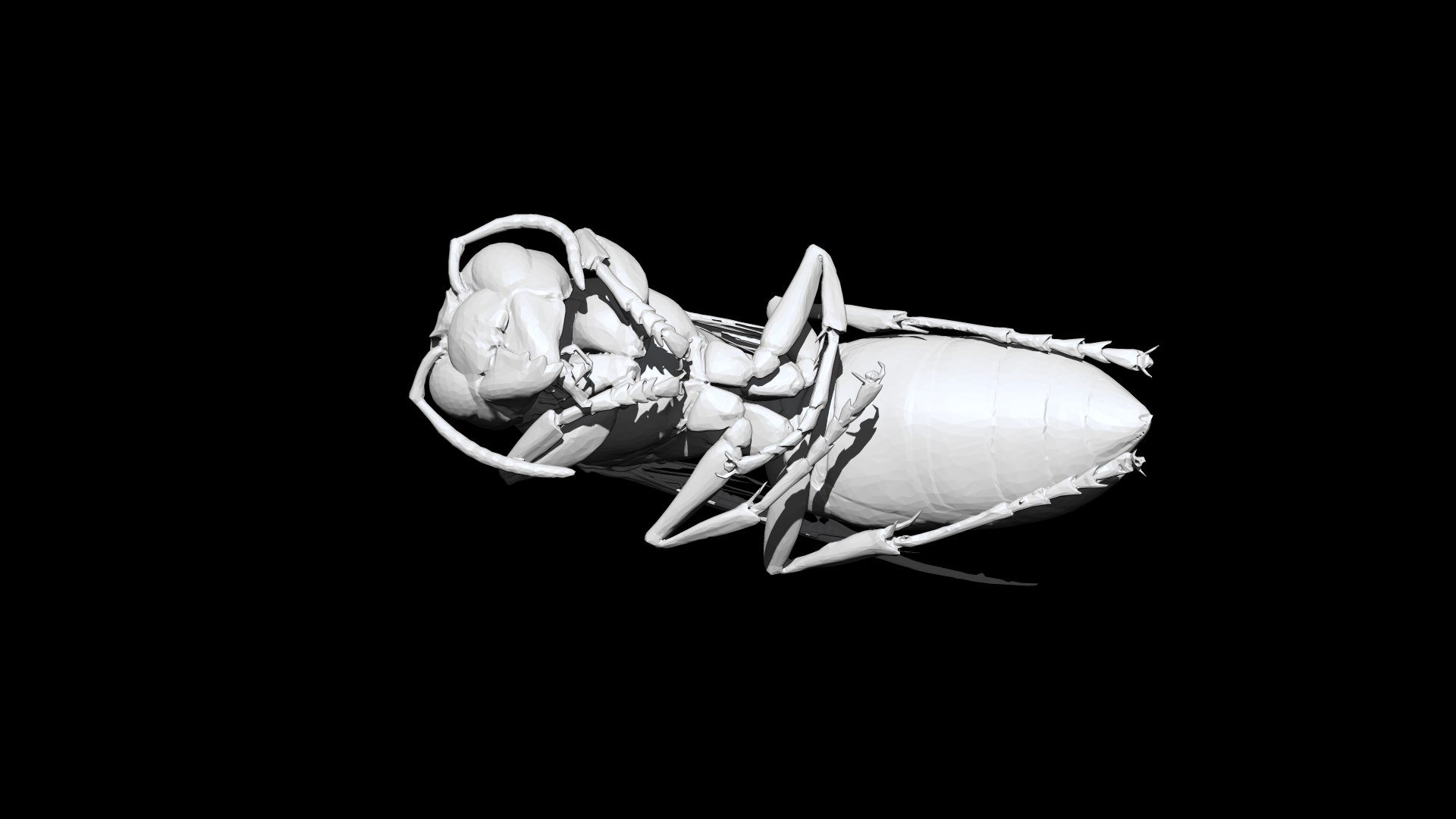 Wasp 3D CT Scan Model Decimate 8 Percent 3D - TurboSquid 1965532