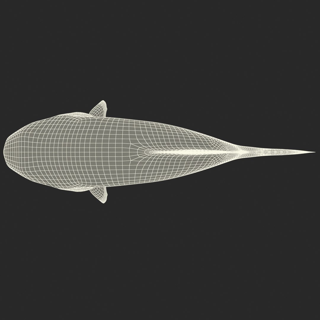 3d piranha modelled https://p.turbosquid.com/ts-thumb/Lh/XqrMoA/UUCBR8s2/piranha_21/jpg/1322431022/1920x1080/fit_q87/215028a9d7dfb0e4e8f223d9113d6c7a4003d921/piranha_21.jpg