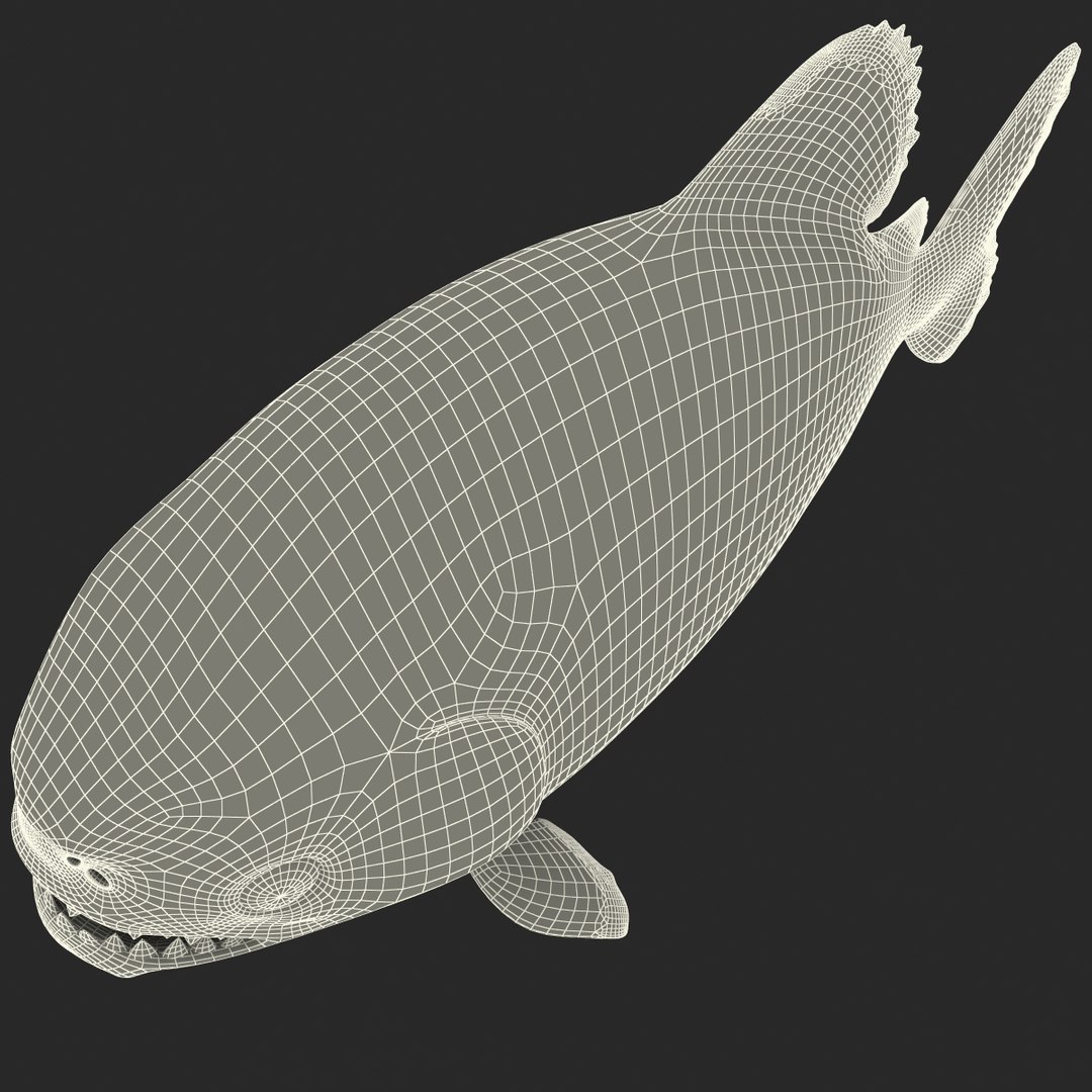 3d piranha modelled https://p.turbosquid.com/ts-thumb/Lh/XqrMoA/V6QL4eCL/piranha_23/jpg/1322431022/1920x1080/fit_q87/15e04755d77e2f529fa0fd606925ee358680ca3b/piranha_23.jpg