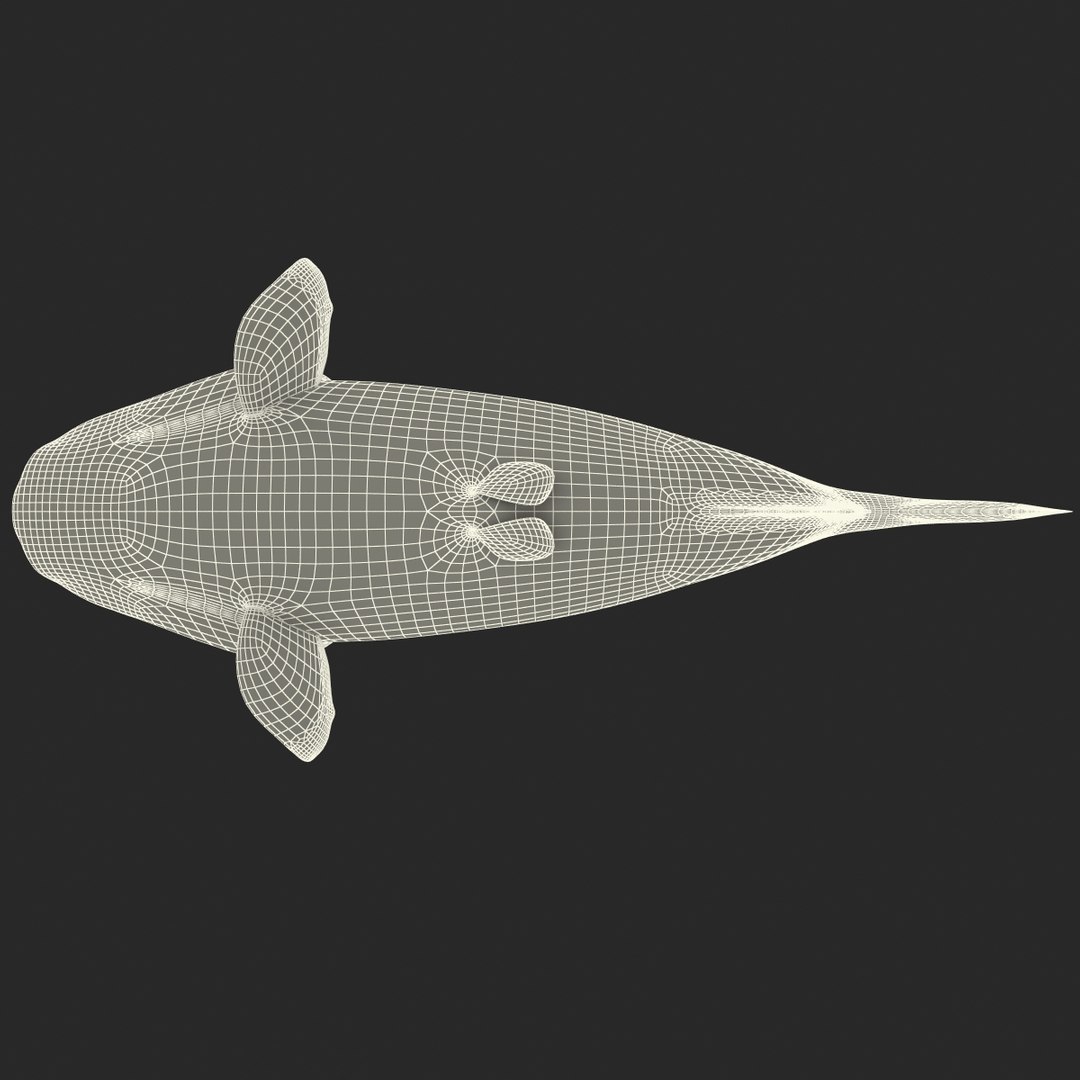 3d piranha modelled https://p.turbosquid.com/ts-thumb/Lh/XqrMoA/gttqPweA/piranha_22/jpg/1322431022/1920x1080/fit_q87/388638d37eaf0c5dfb5e3f377dfece2ab2fae348/piranha_22.jpg
