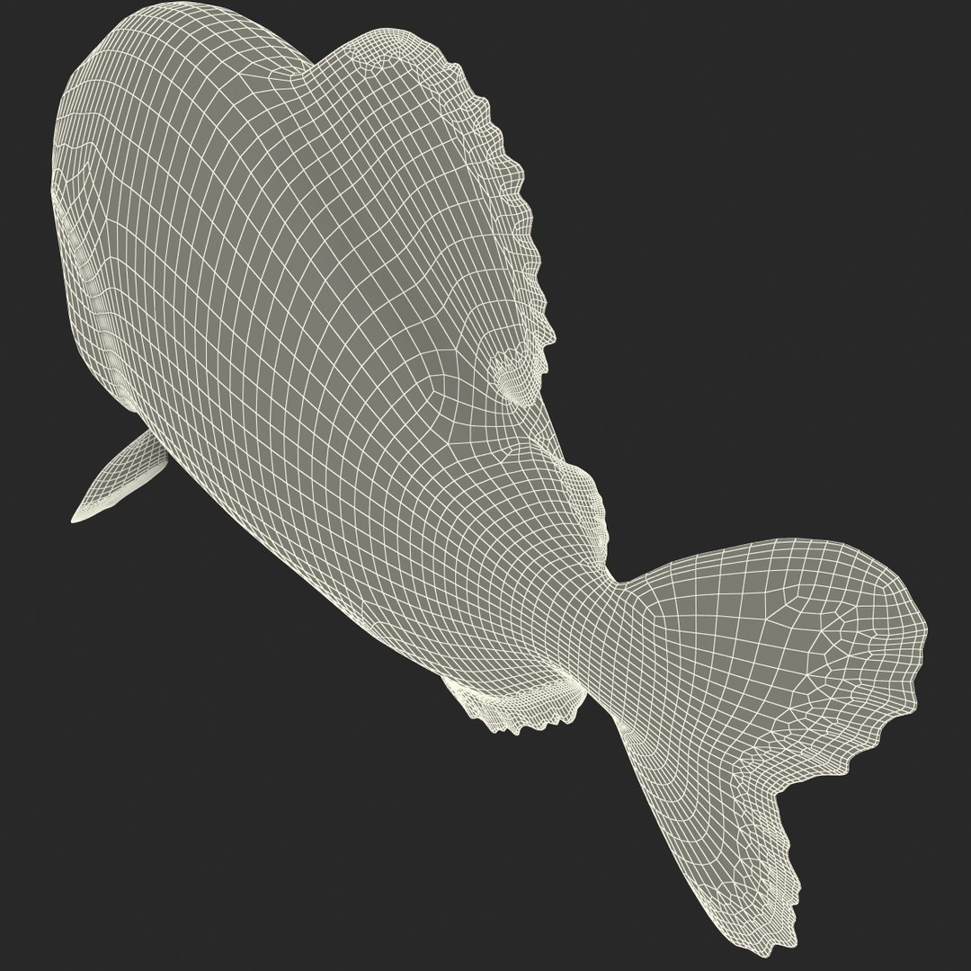 3d piranha modelled https://p.turbosquid.com/ts-thumb/Lh/XqrMoA/yLvtNHX4/piranha_27/jpg/1322431022/1920x1080/fit_q87/44474ef9a77efa44c5ede8d0d53263932c95981c/piranha_27.jpg