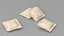 Ravioli Dumpling Cru