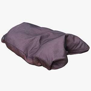 Cushion Dog 01