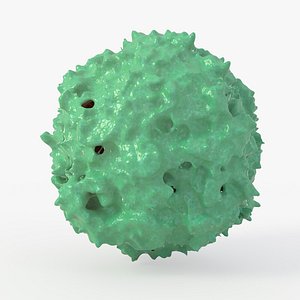 rhinovirus 3D