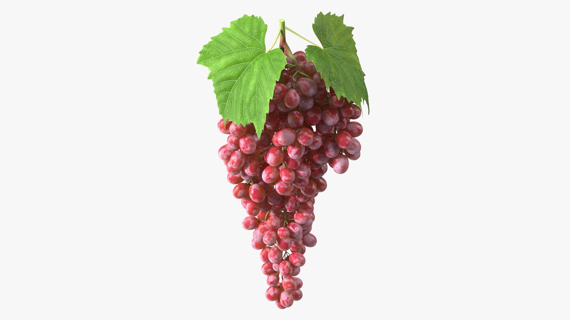 Red Sultana Grape Cluster 3D model preview